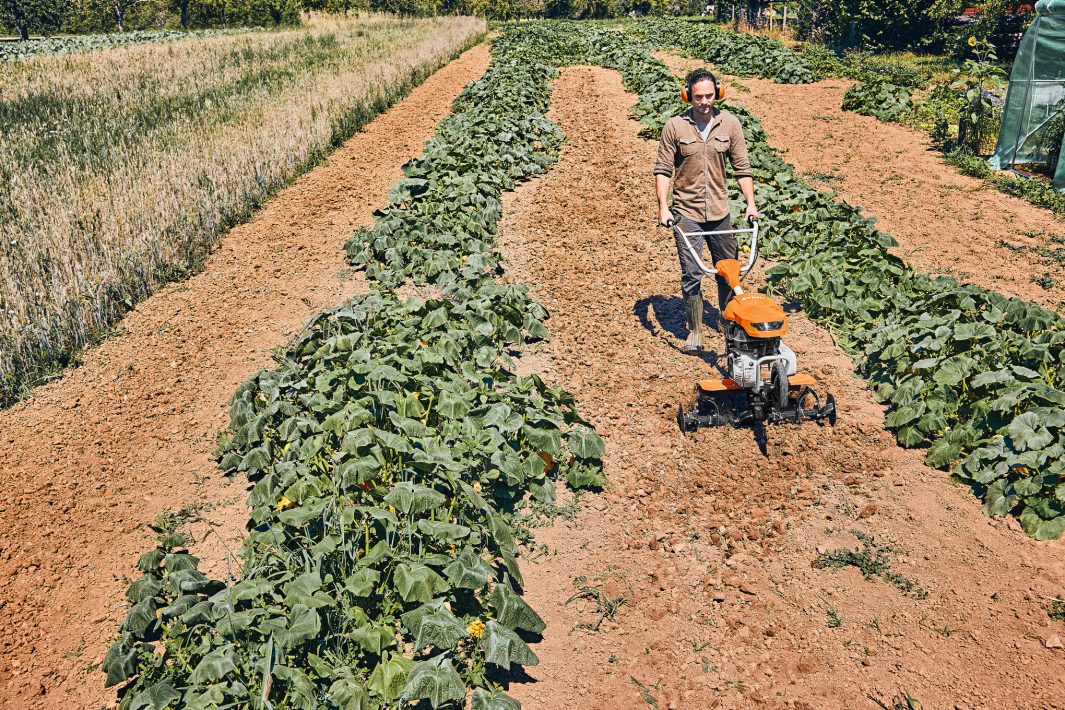 Glebogryzarka spalinowa STIHL MH 600 – mężczyzna pracująca między grządkami, Techfix Radom